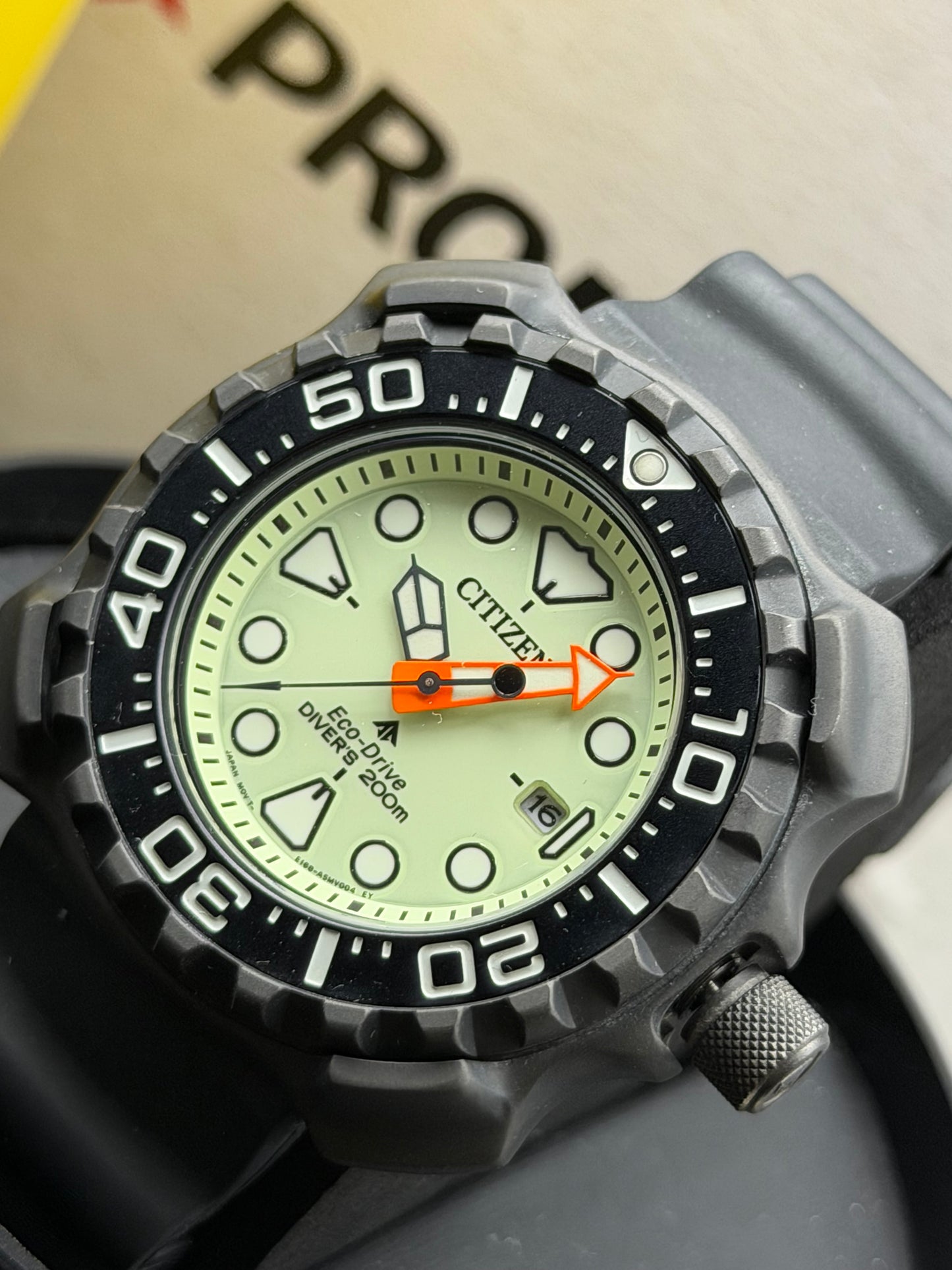 Citizen Promaster