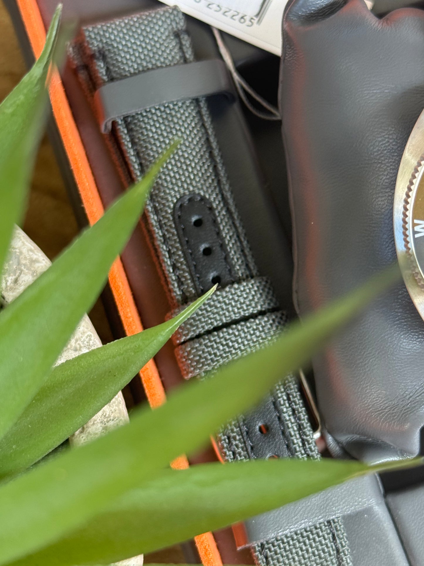 Seiko Tortoise L.E.
