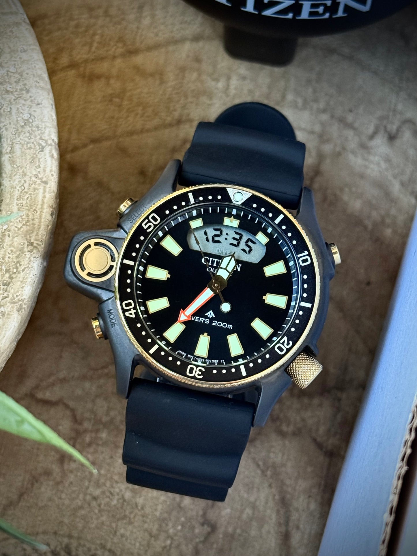 Citizen Aqualand 40th Anniversary