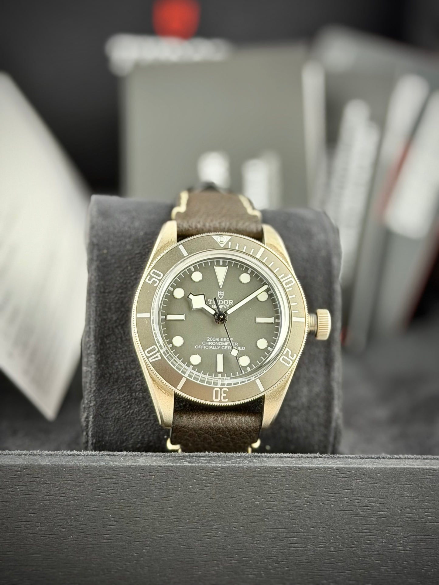 Tudor Black Bay 58 “925”