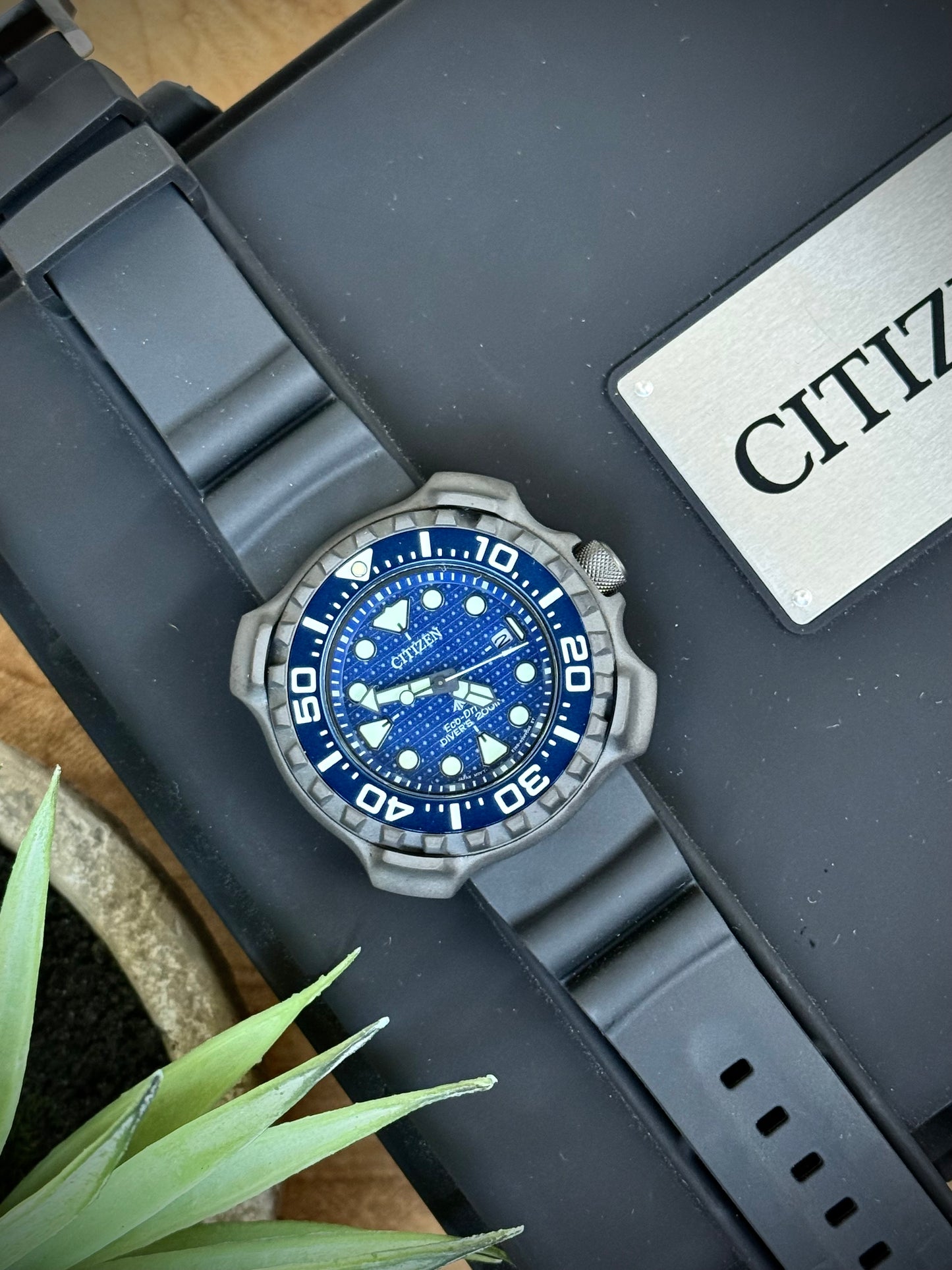 Citizen Whale Skark L.E.