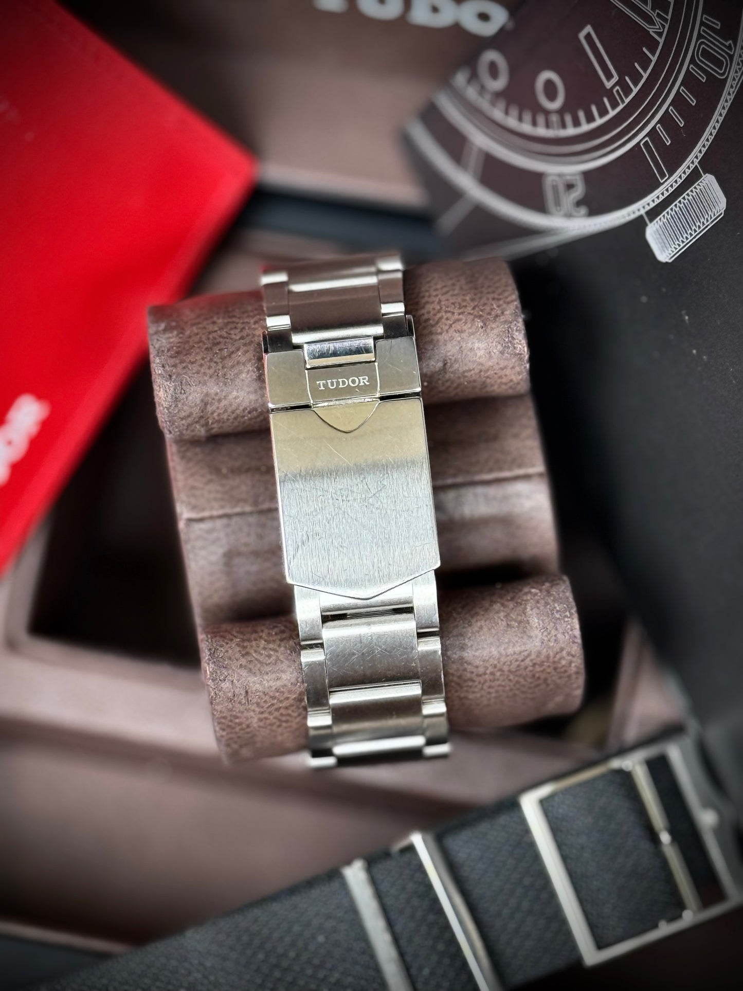 Tudor Black Bay Rosellina