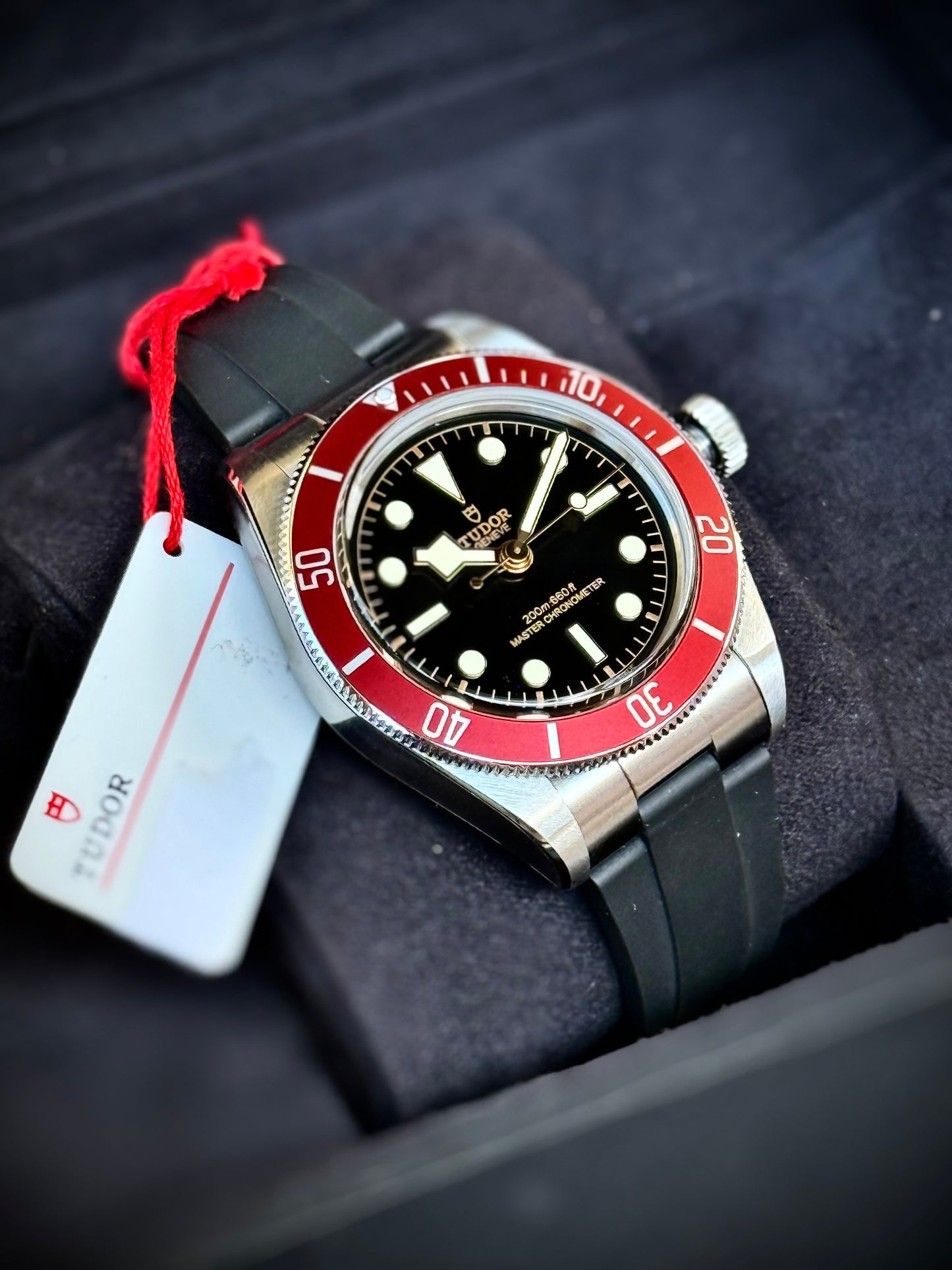 Saldo con permute Tudor Black Bay