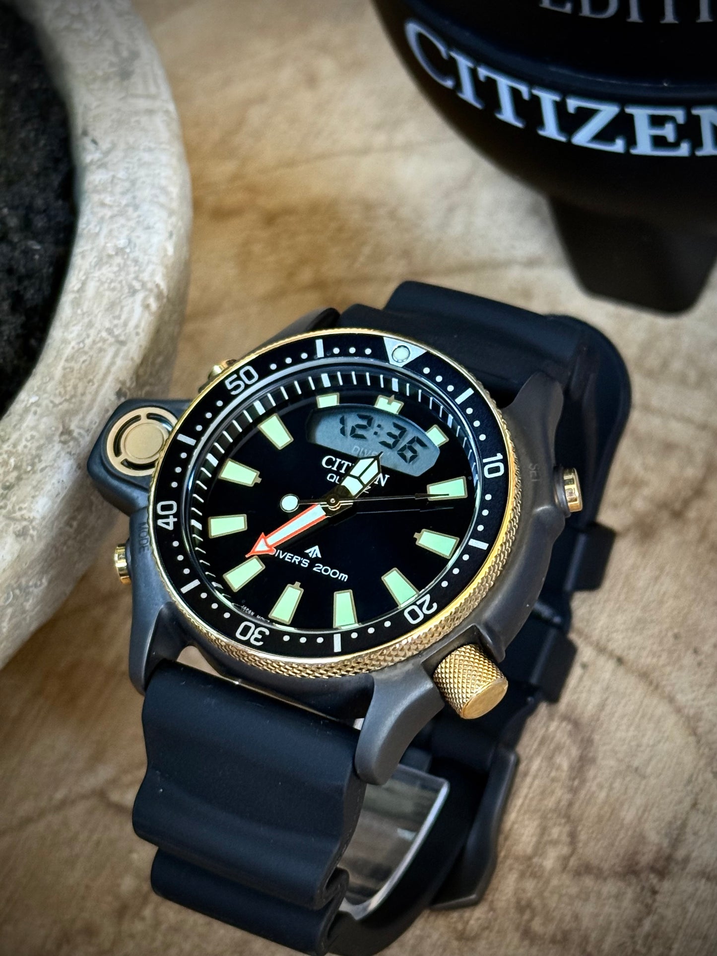 Citizen Aqualand 40th Anniversary