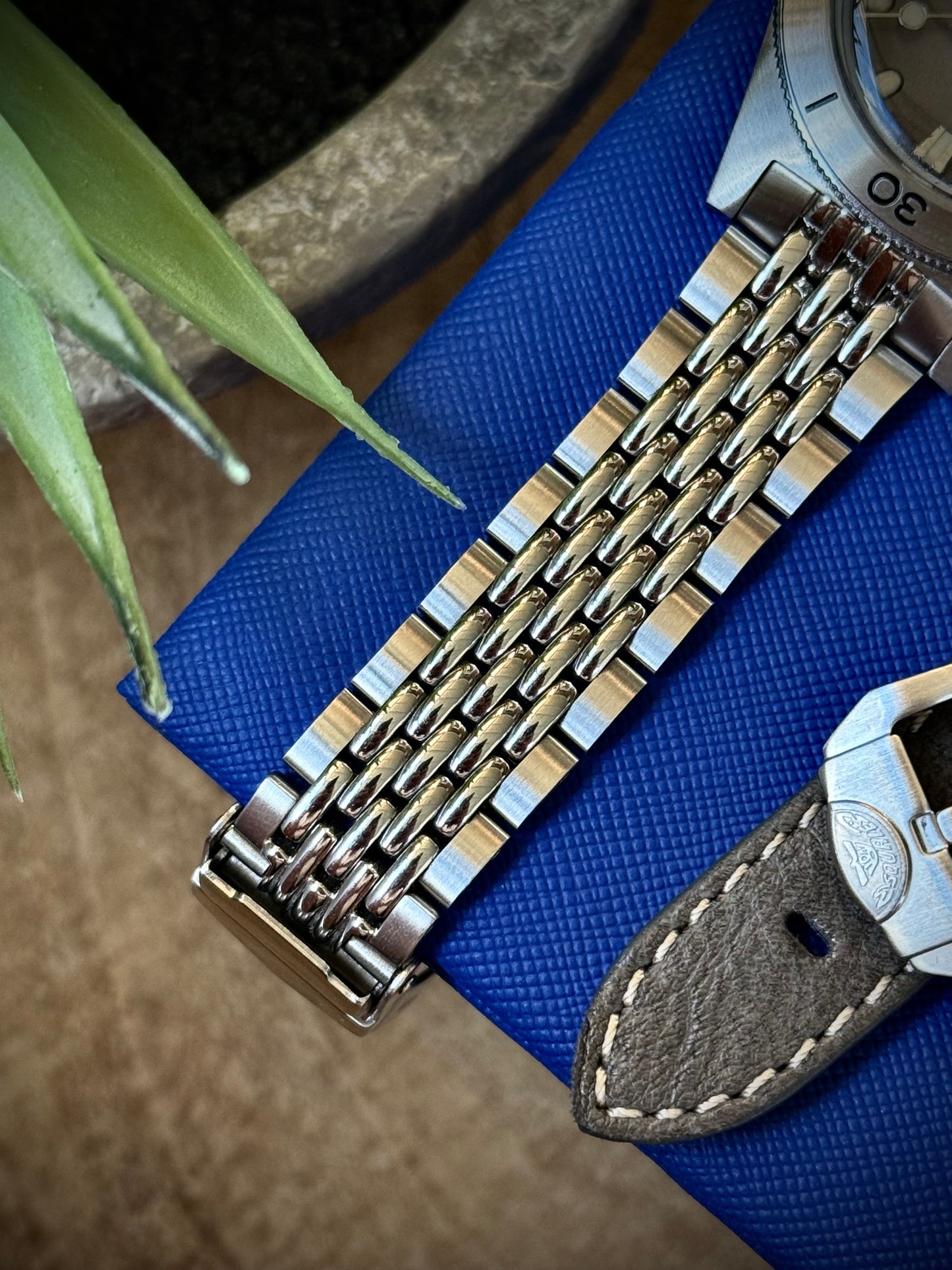 Super Squale Sunray