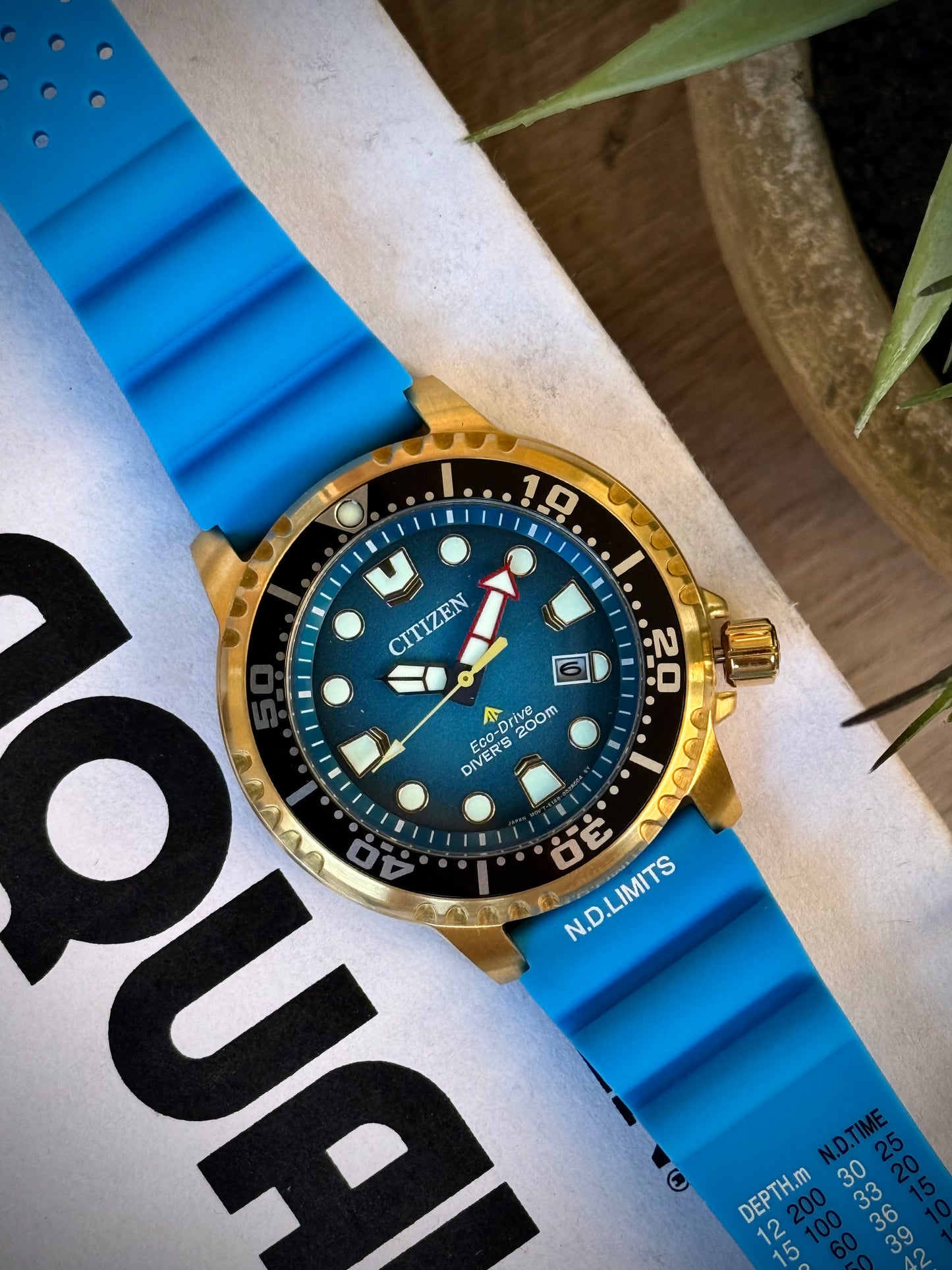 Citizen Promaster