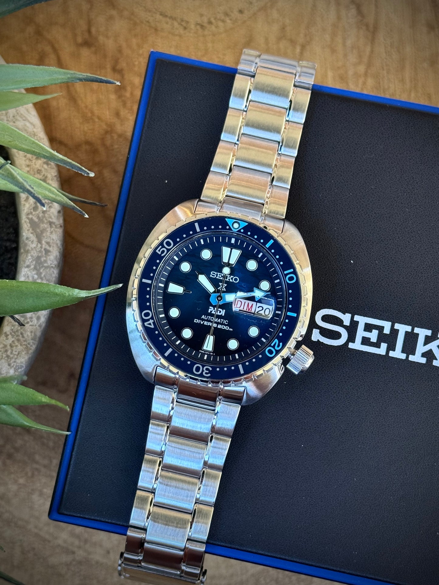 Seiko Turtle
