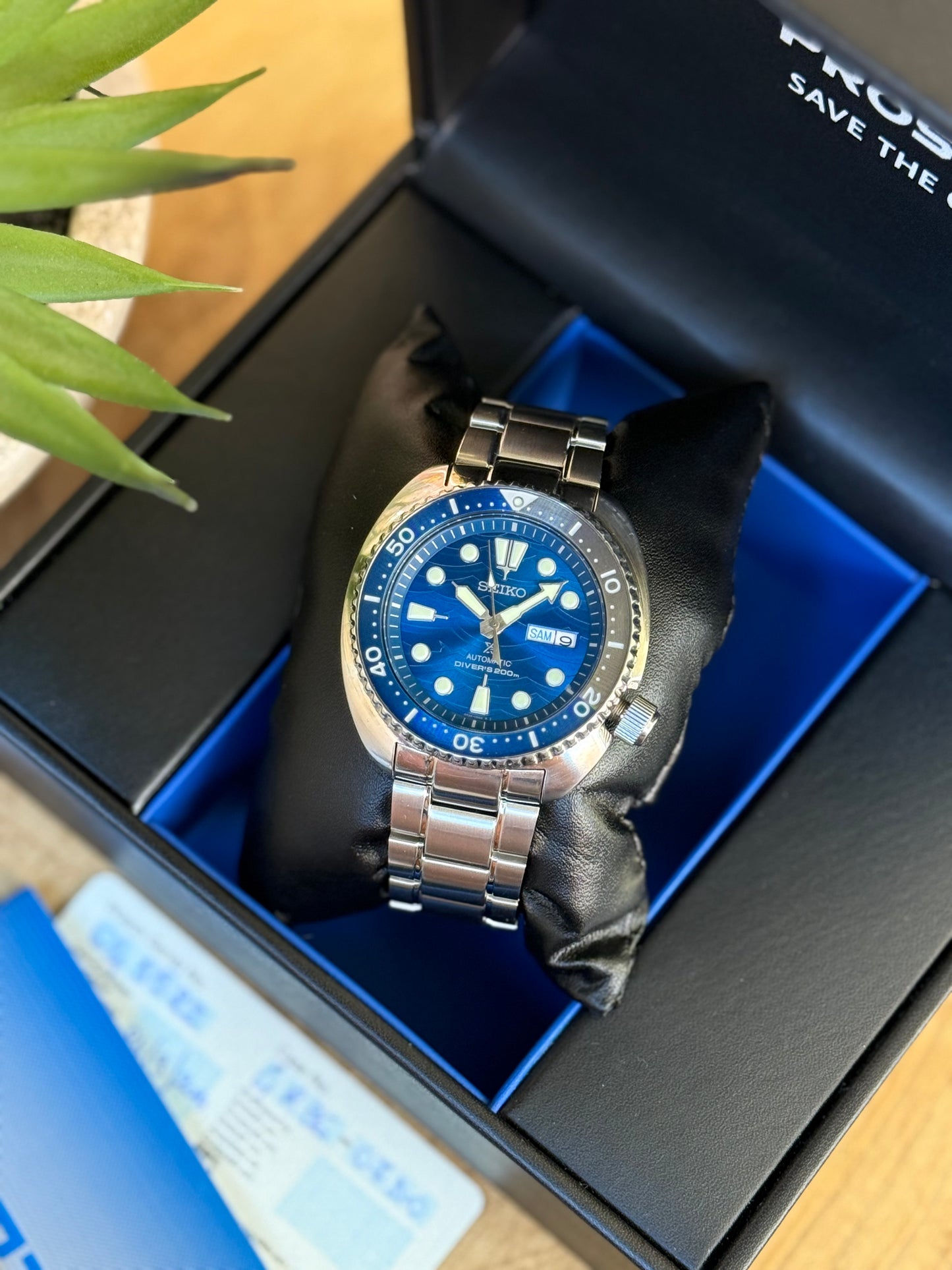Seiko Turtle