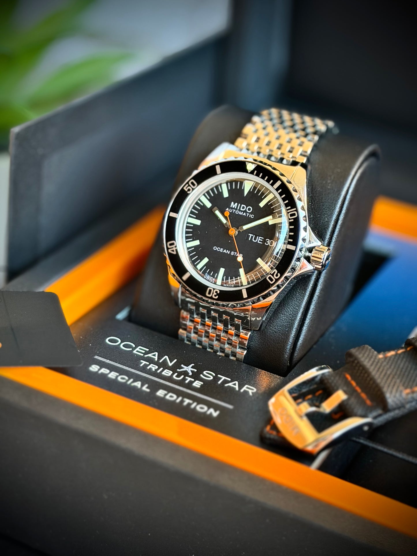 Mido Ocean Star Tribute
