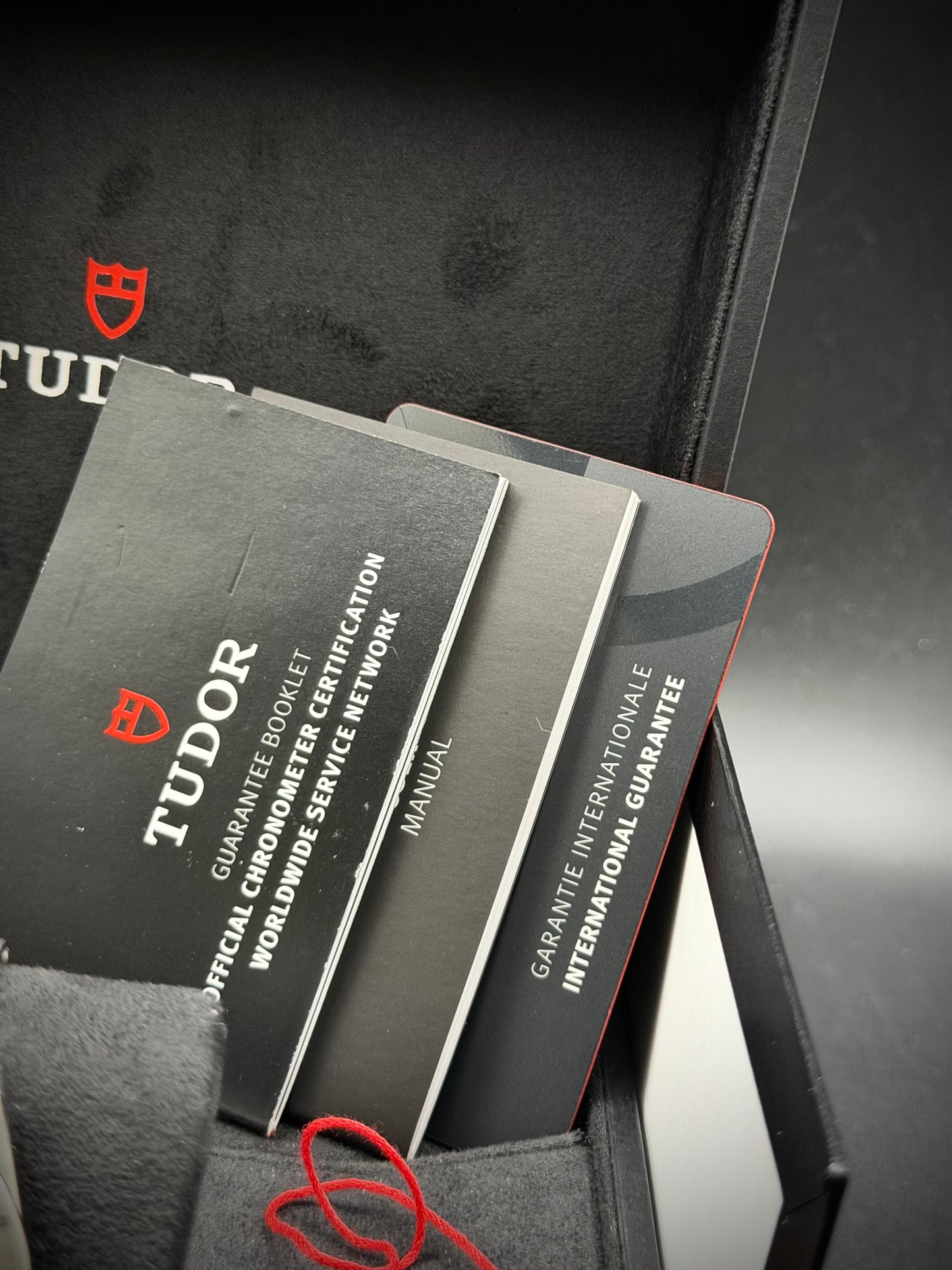 Tudor Black Bay Pro “Opaline”