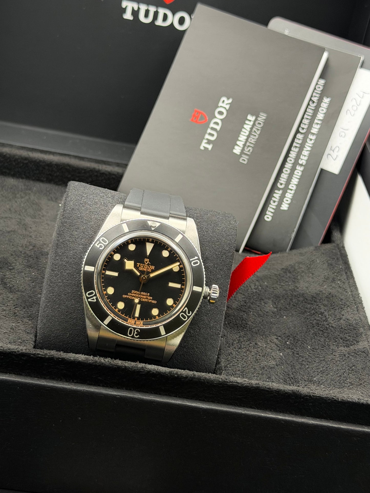 Tudor Black Bay 54