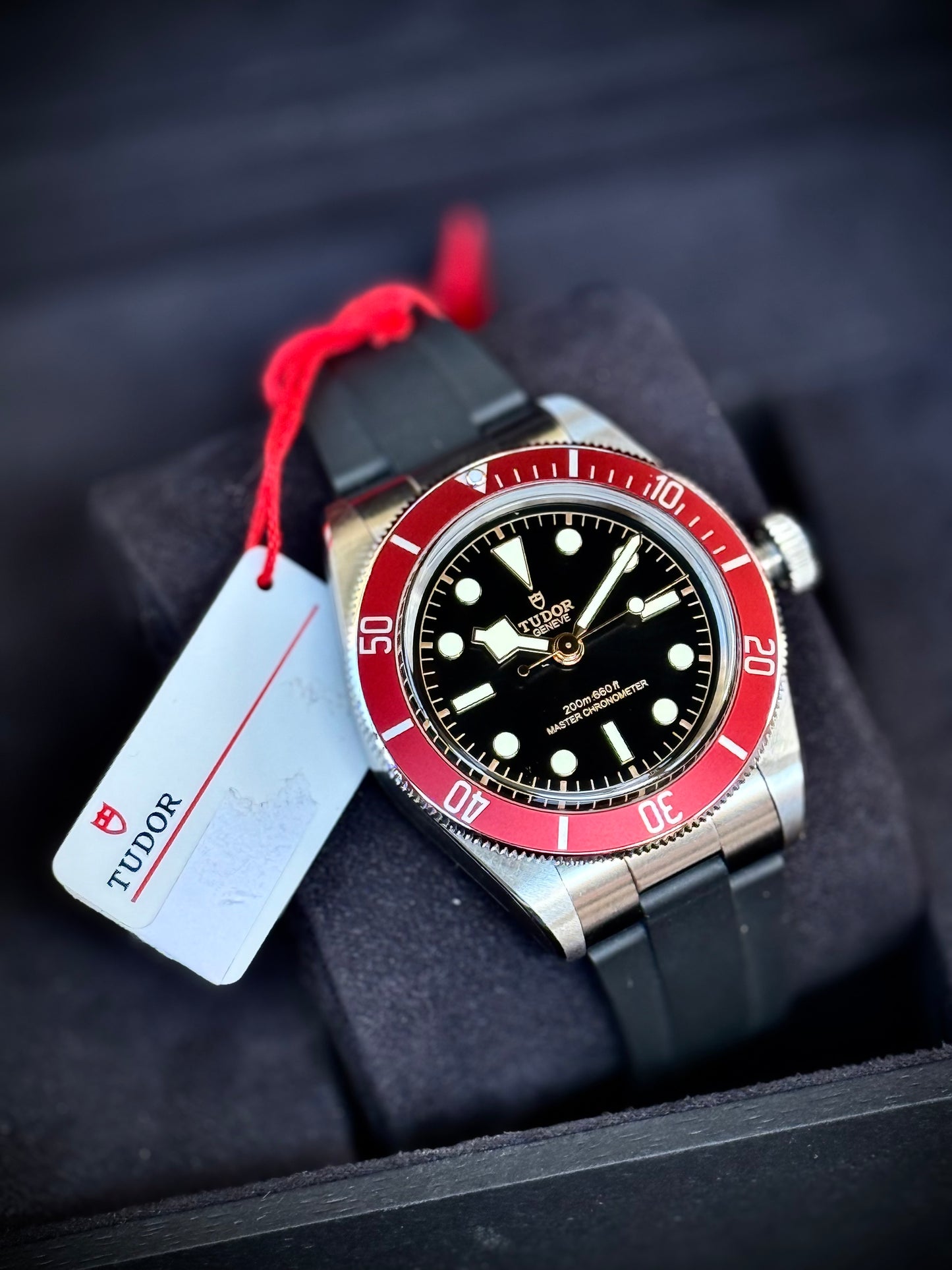 Saldo con permute Tudor Black Bay