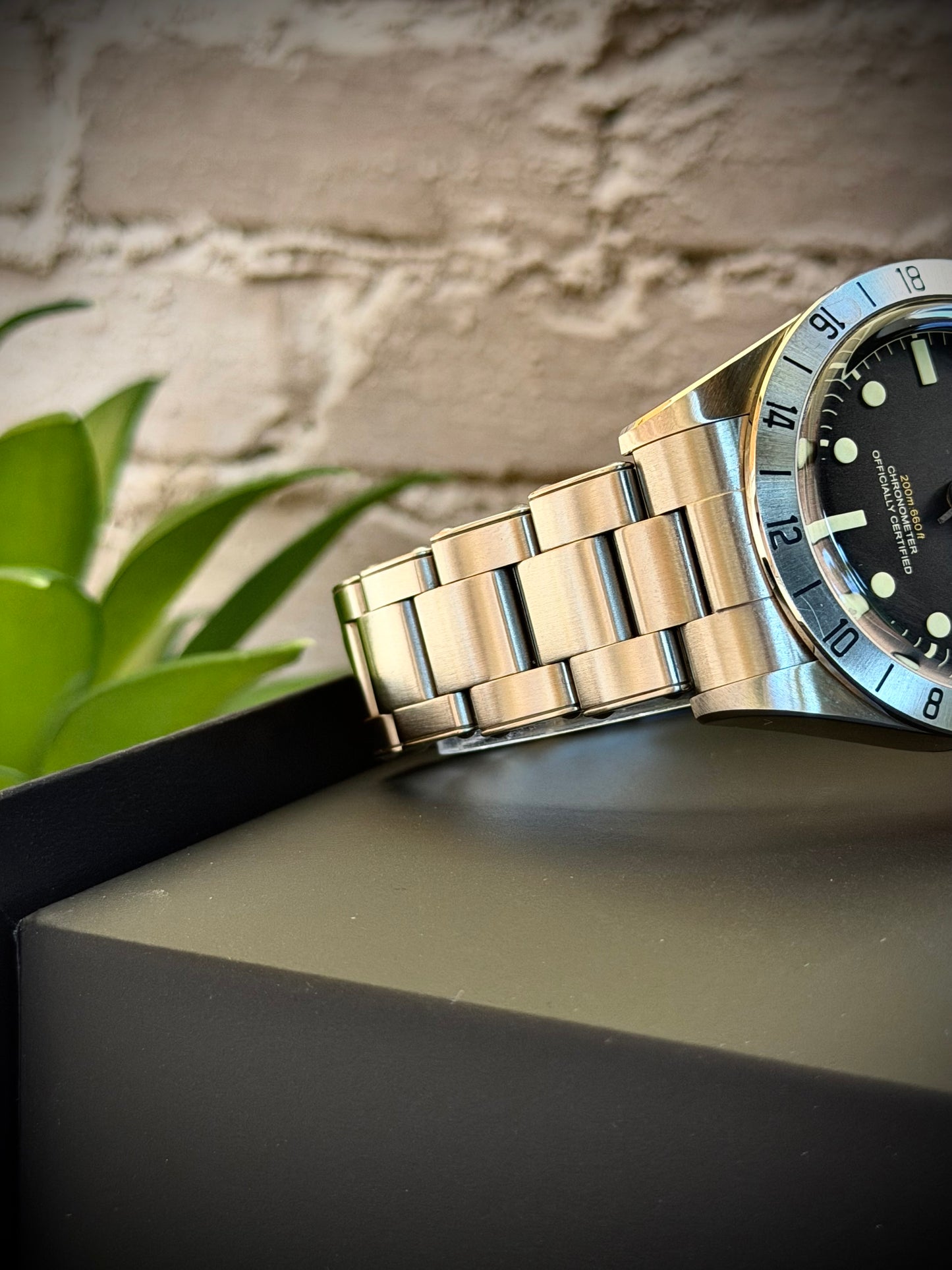 Tudor Black Bay Pro