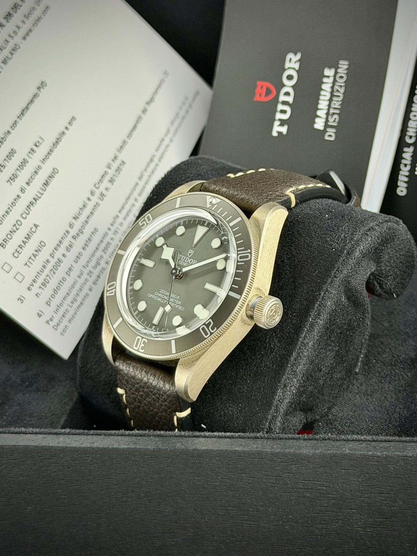 Tudor Black Bay 58 “925”