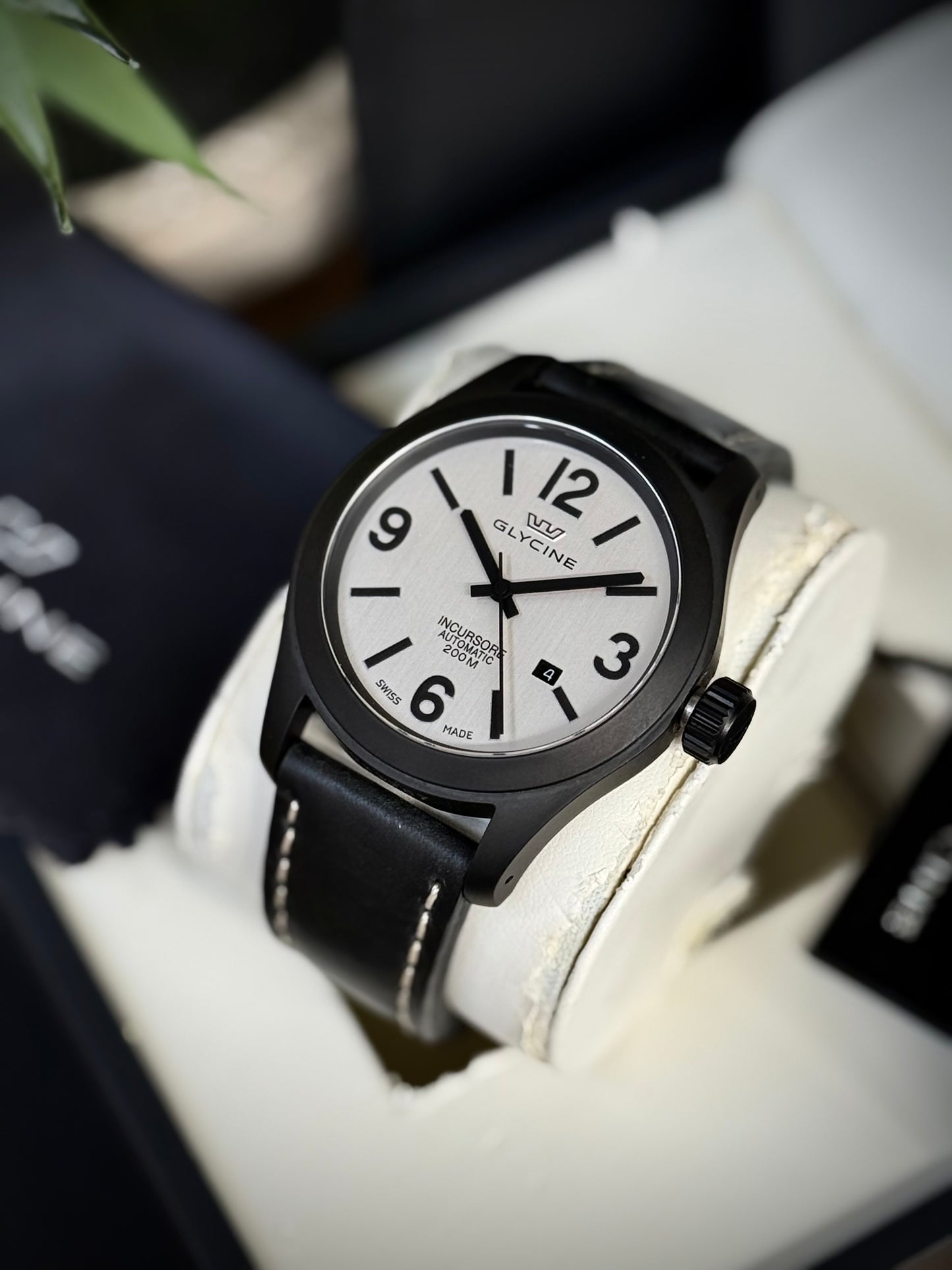 Glycine Incursore PVD