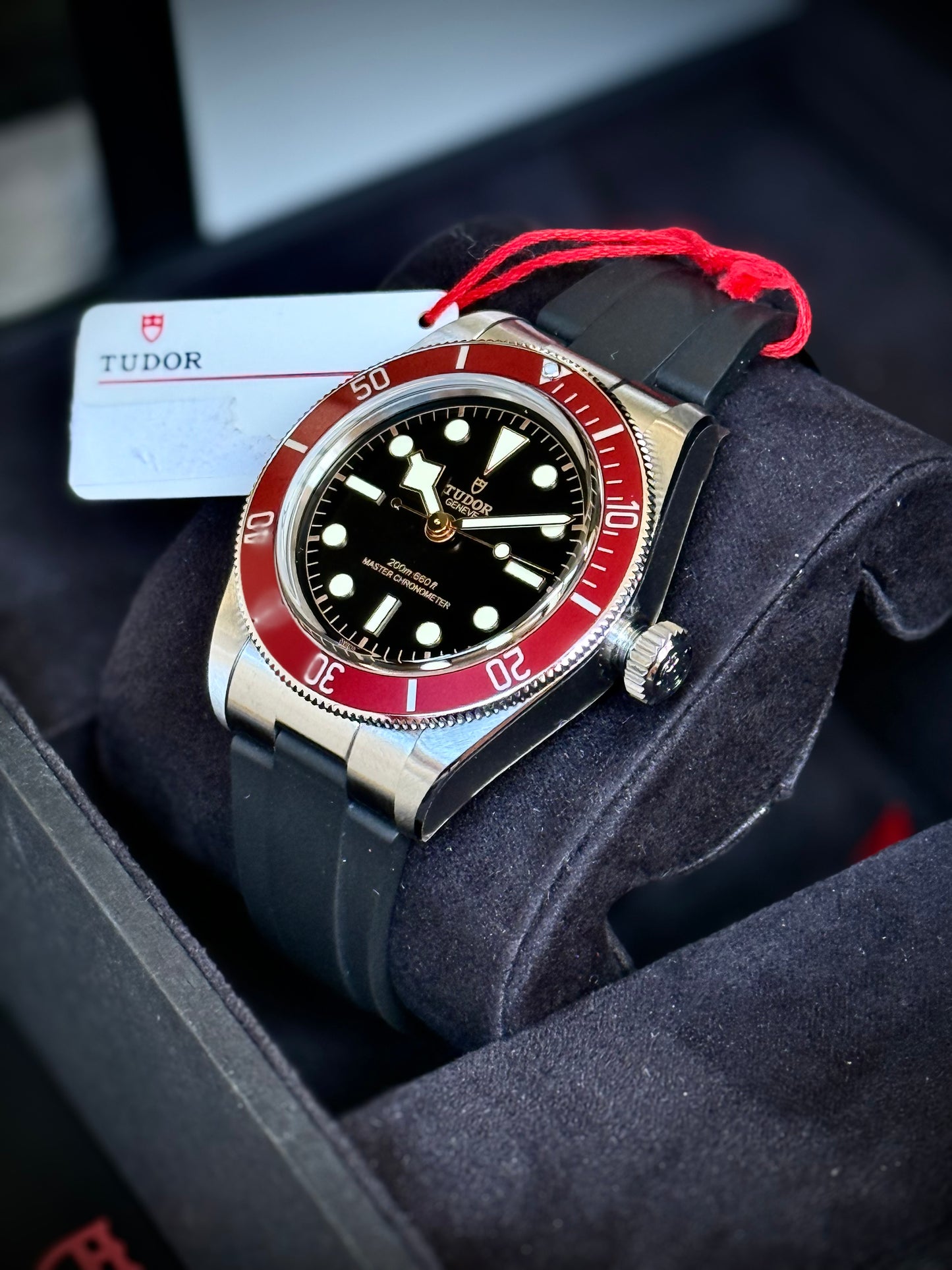 Saldo con permute Tudor Black Bay