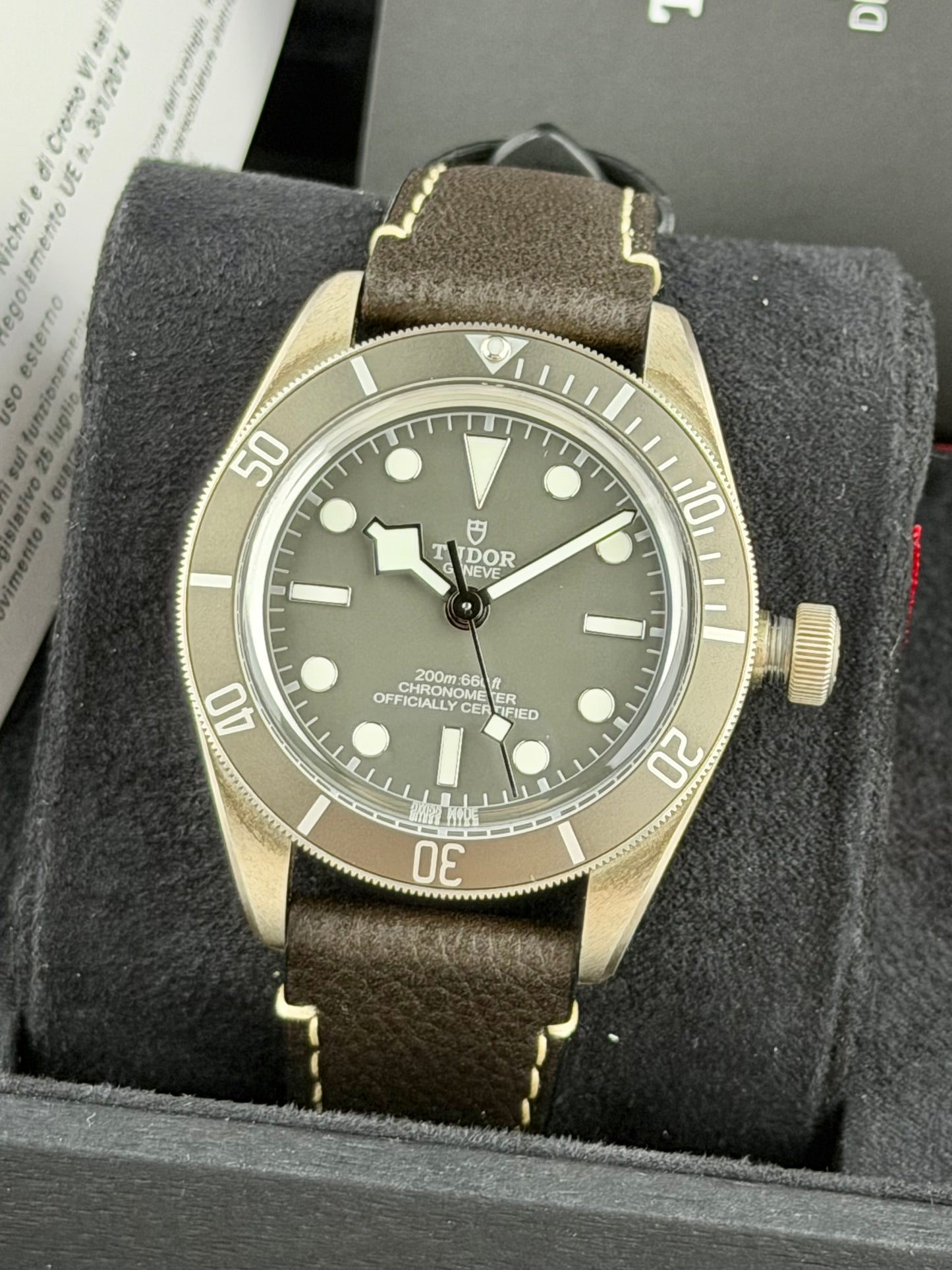 Tudor Black Bay 58 “925”