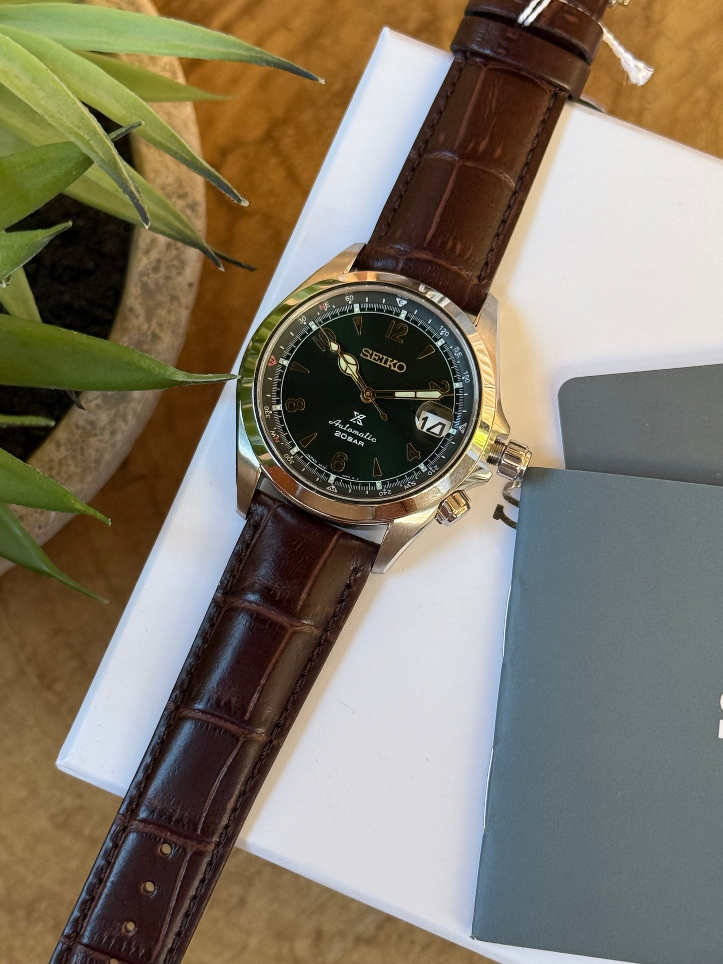Seiko Alpinist