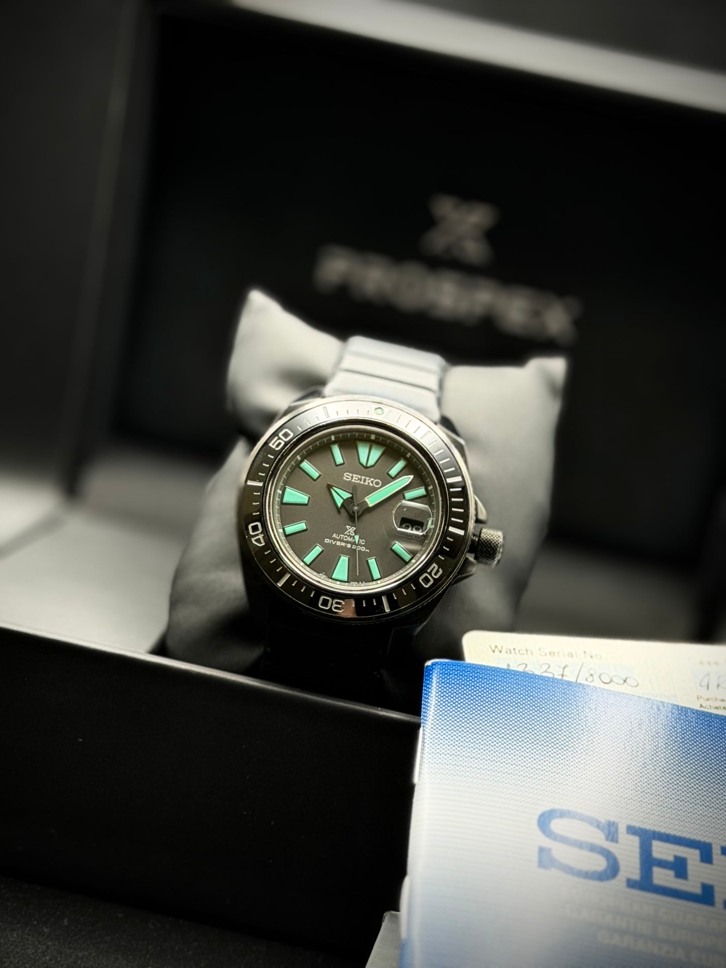 Seiko Night Vision