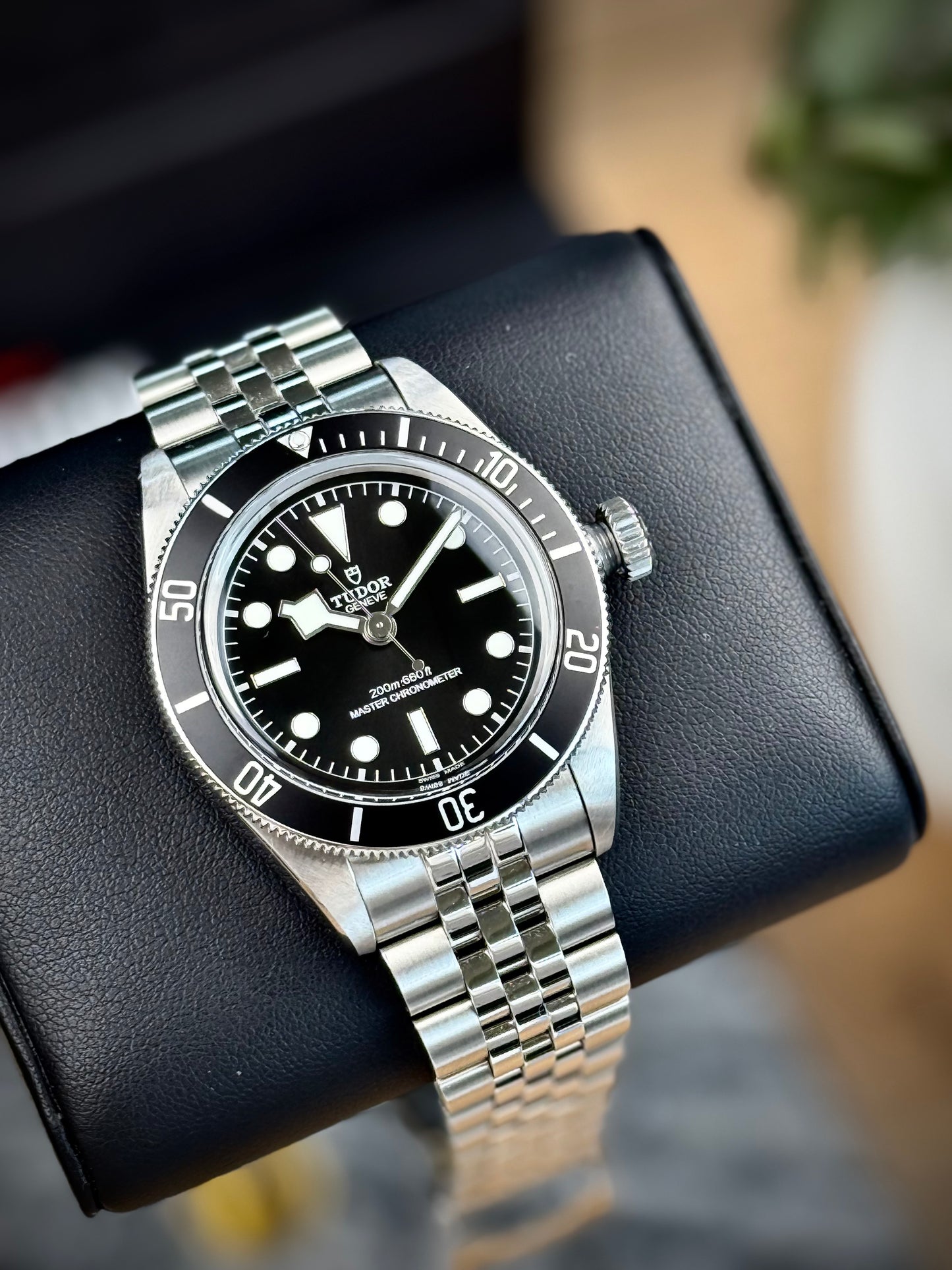 Tudor Black Bay
