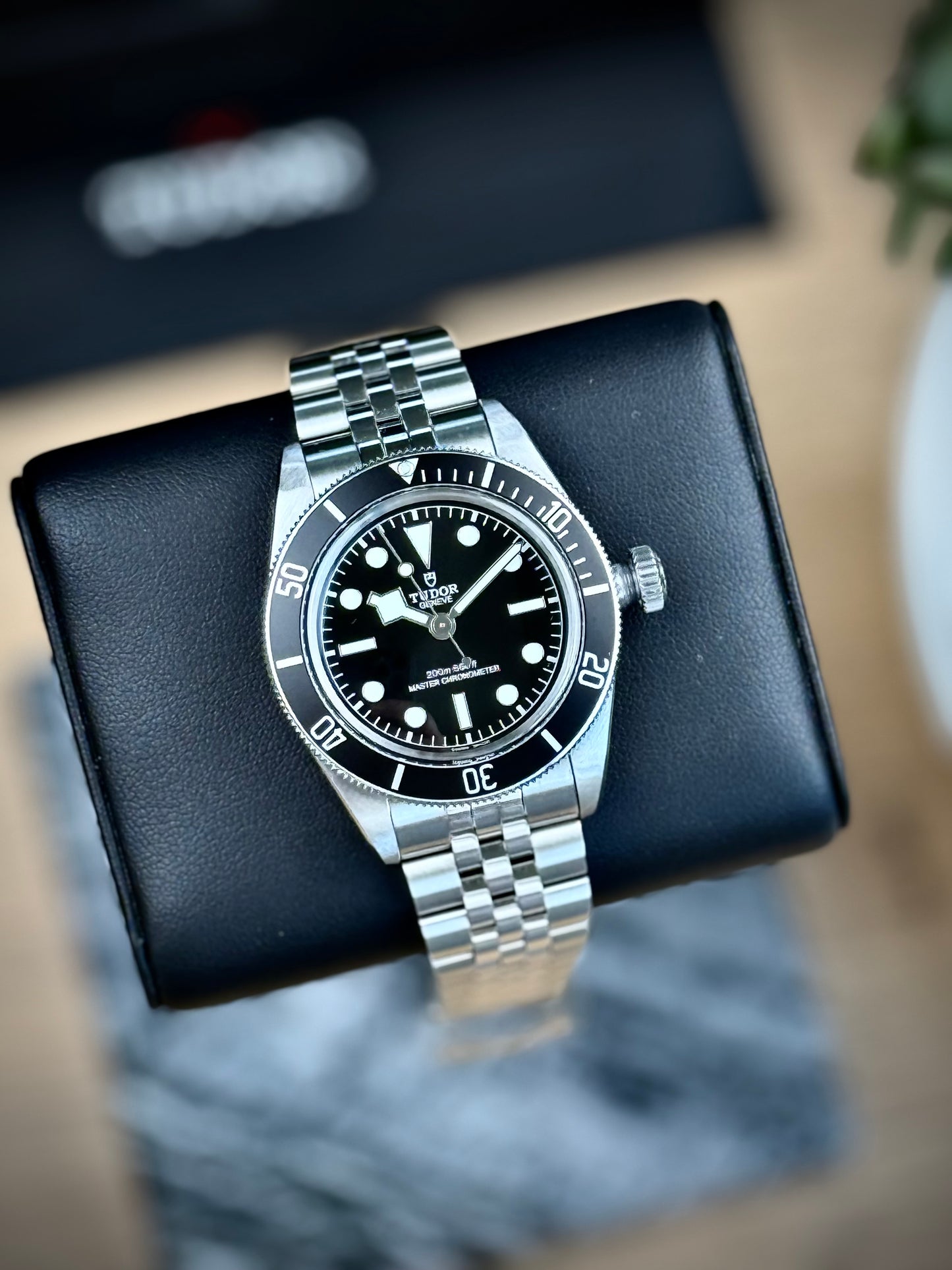 Tudor Black Bay