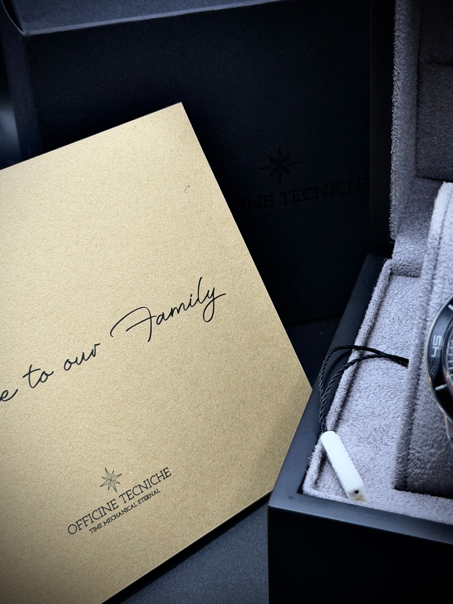 Officine Tecniche Pugnochiuso