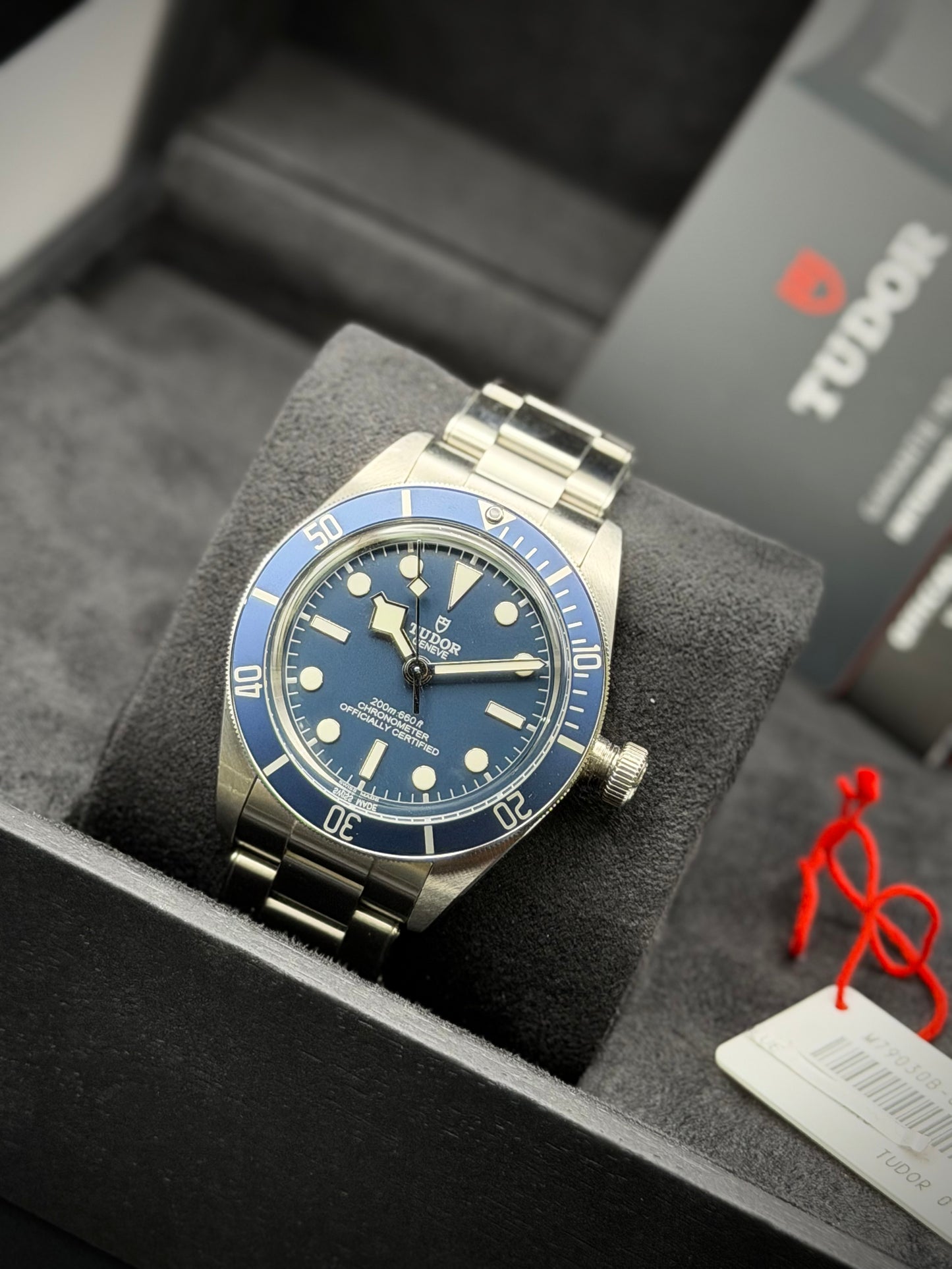Tudor Black Bay 58 Ref. 79030B