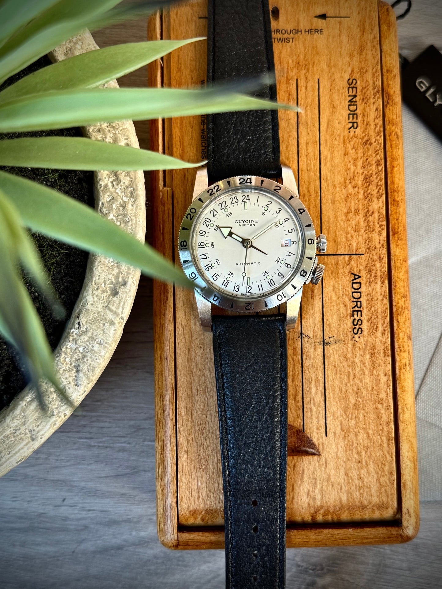 Glycine Airman Purist
