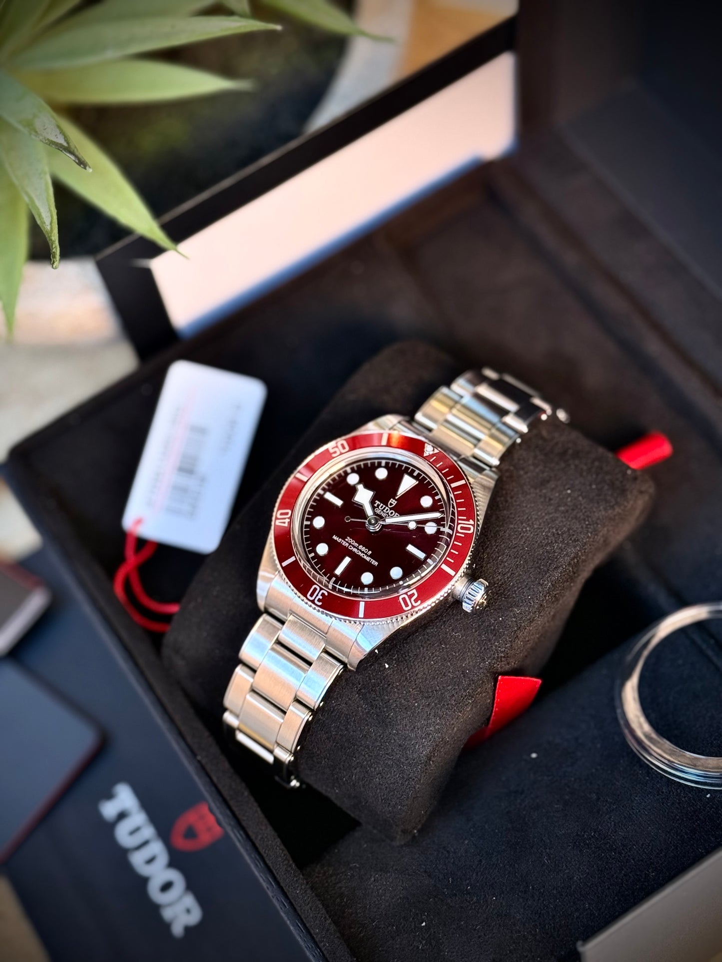 Tudor Black Bay 58 Burgundi