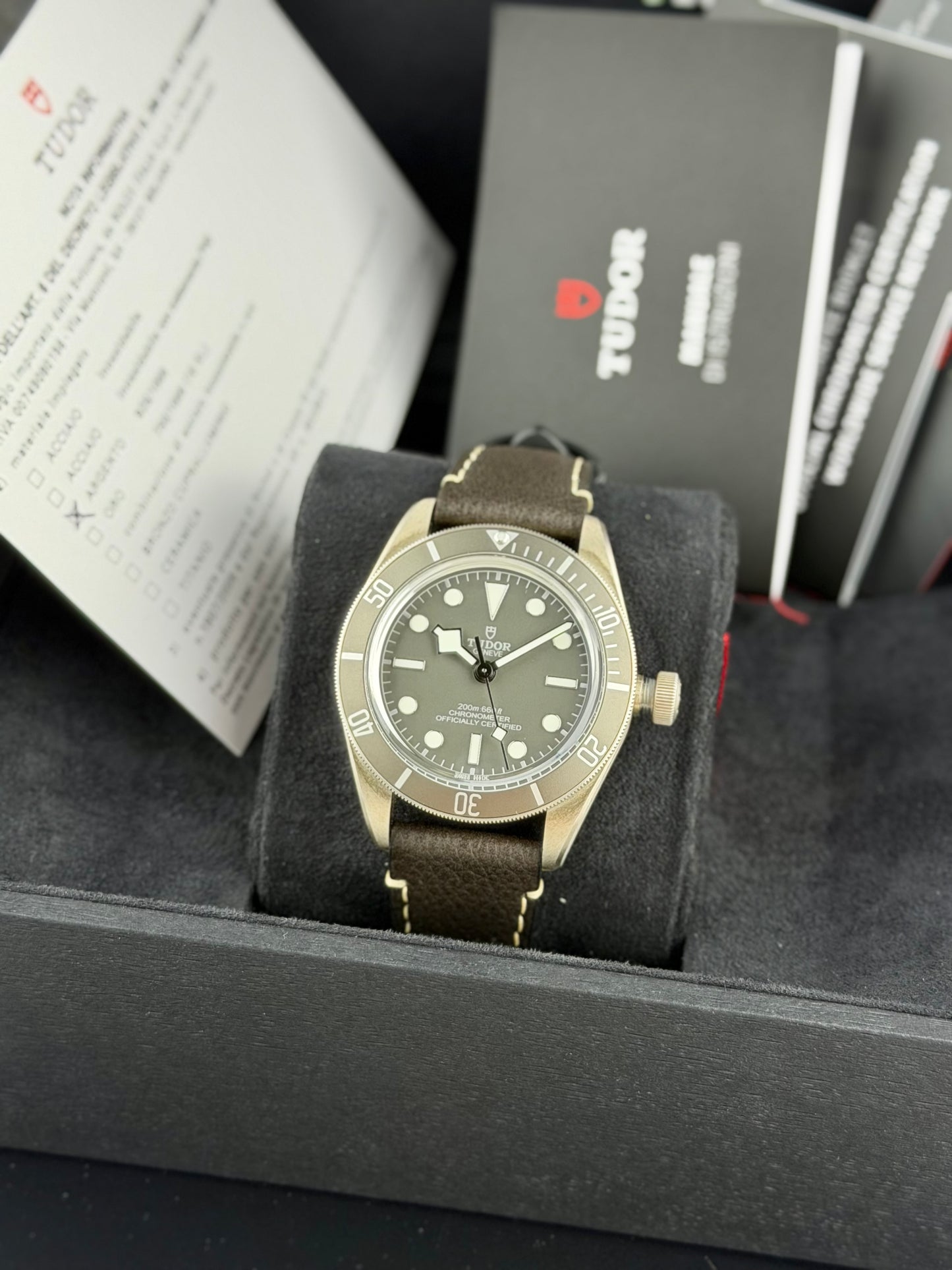 Tudor Black Bay 58 “925”
