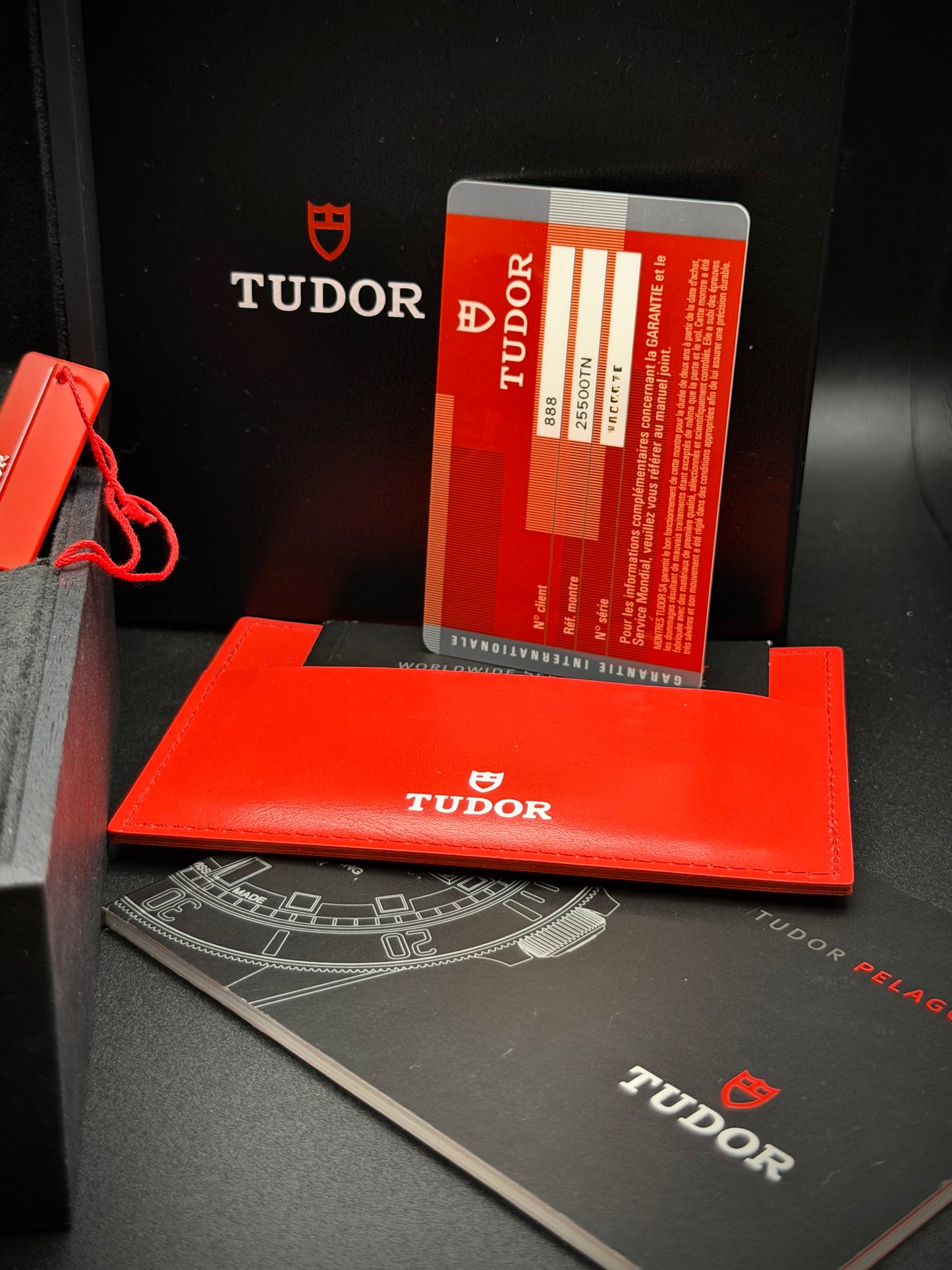 Tudor Pelagos 25500 TN