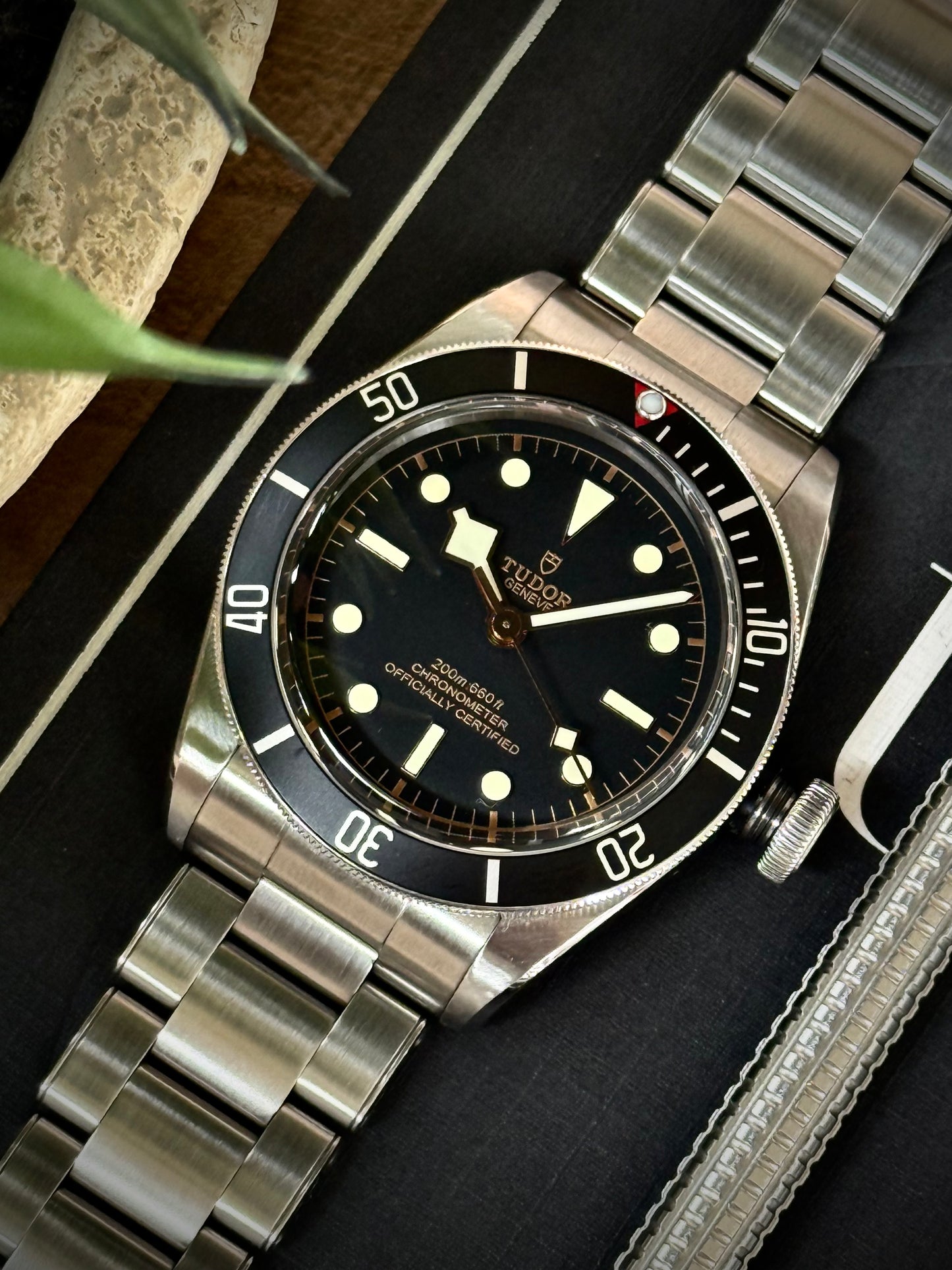 Tudor Black Bay 41 mm